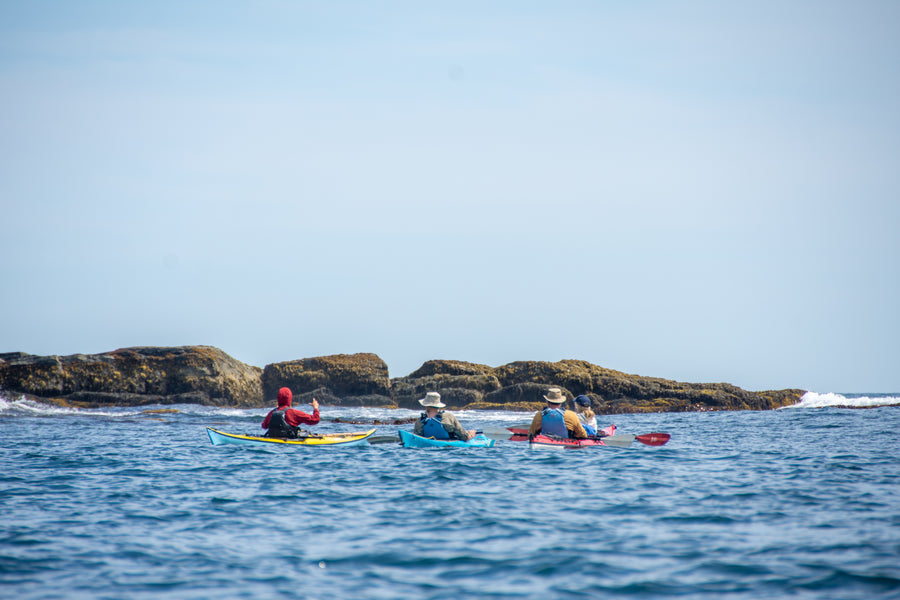 Nova Scotia Kayak Instructor Training