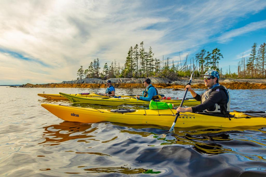 Kayak tour LaHave Islands