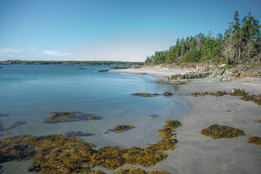 Beach Beautiful Sea Kayak Nova Scotia