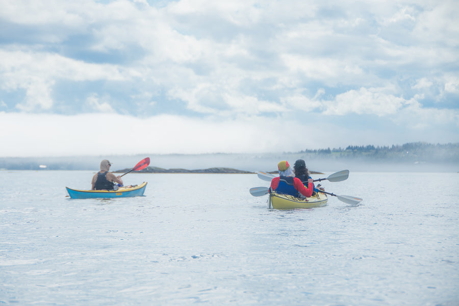 Sea Kayak Nova Scotia mist pretty tour