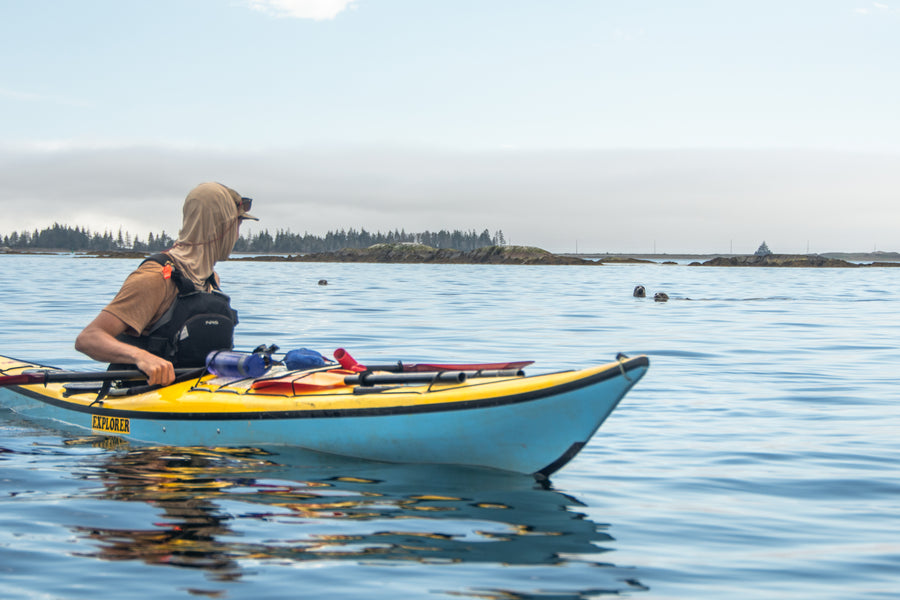 Sea Kayak best Tour nova scotia guide seals