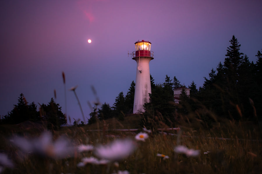Sea kayak mulitday lighthouse sunset
