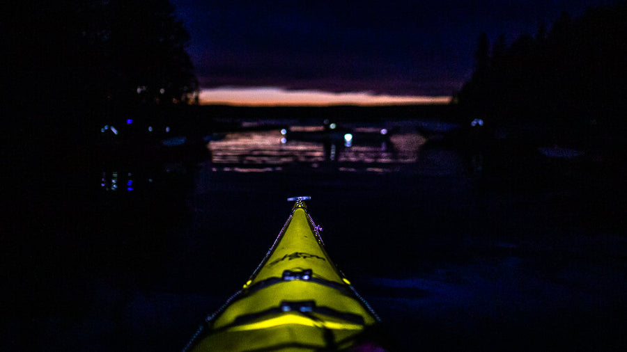 Bioluminescent Kayak Tour