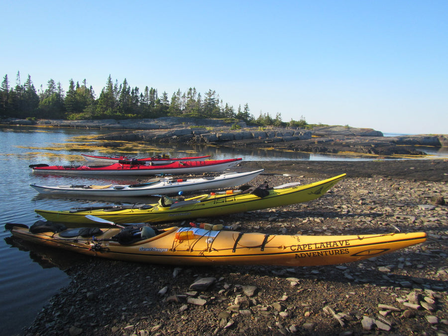 South Shore Kayaking Tour