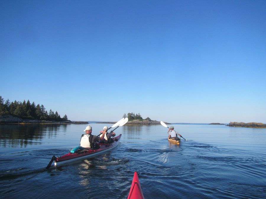 Bluerocks Kayaking Tour Lunenburg