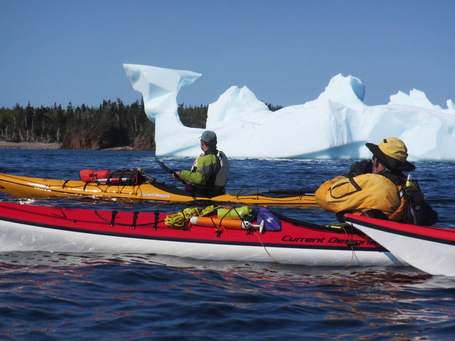 kayak newfoundland icebergs
