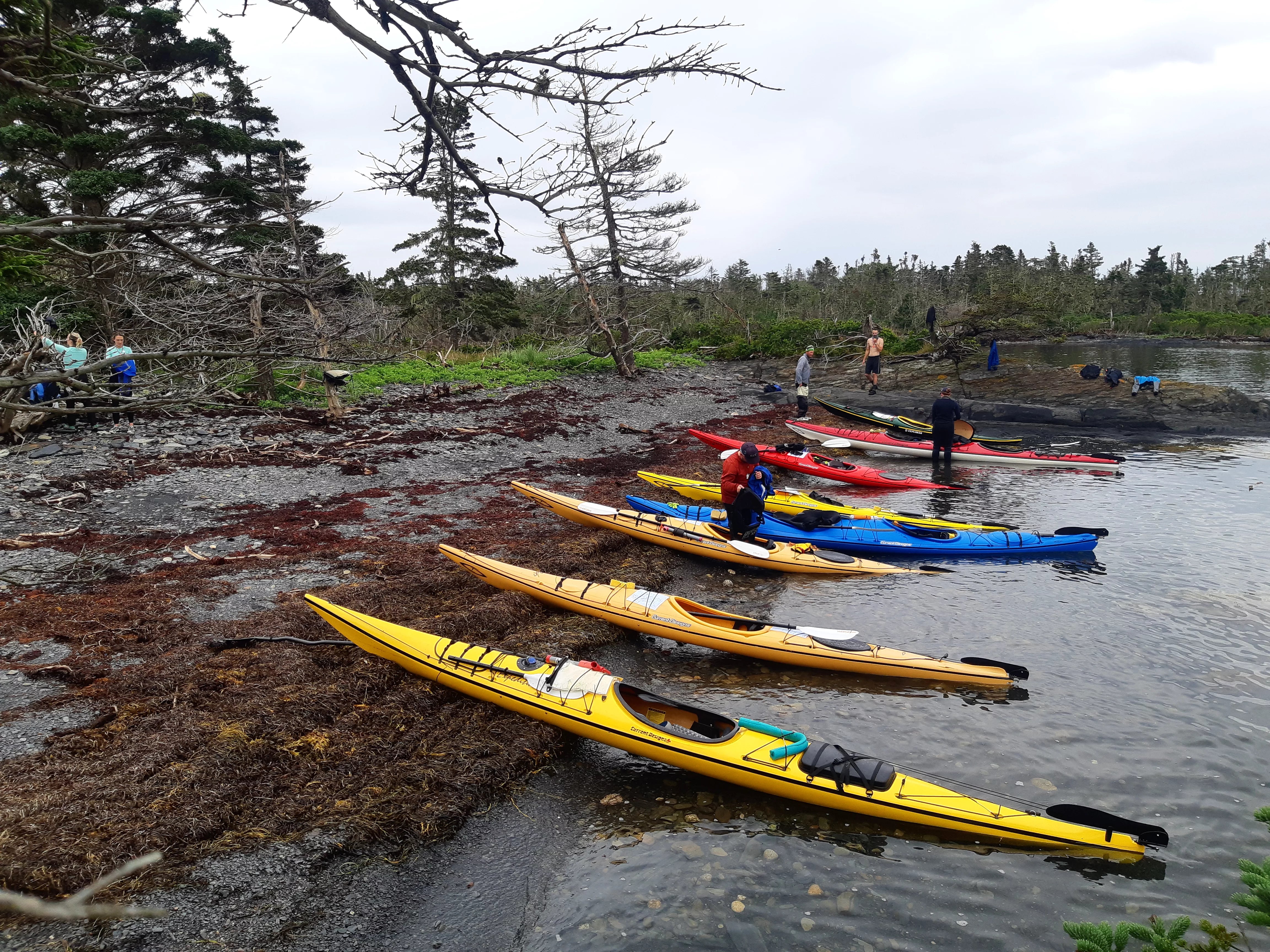 Swany's Challenge – Cape LaHave Adventures