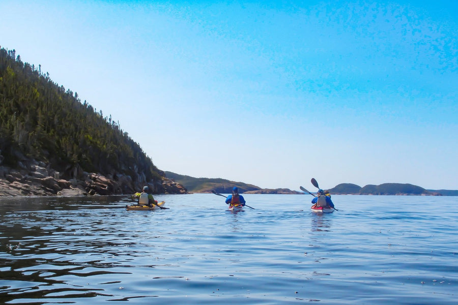 sea kayak tour newfoundland