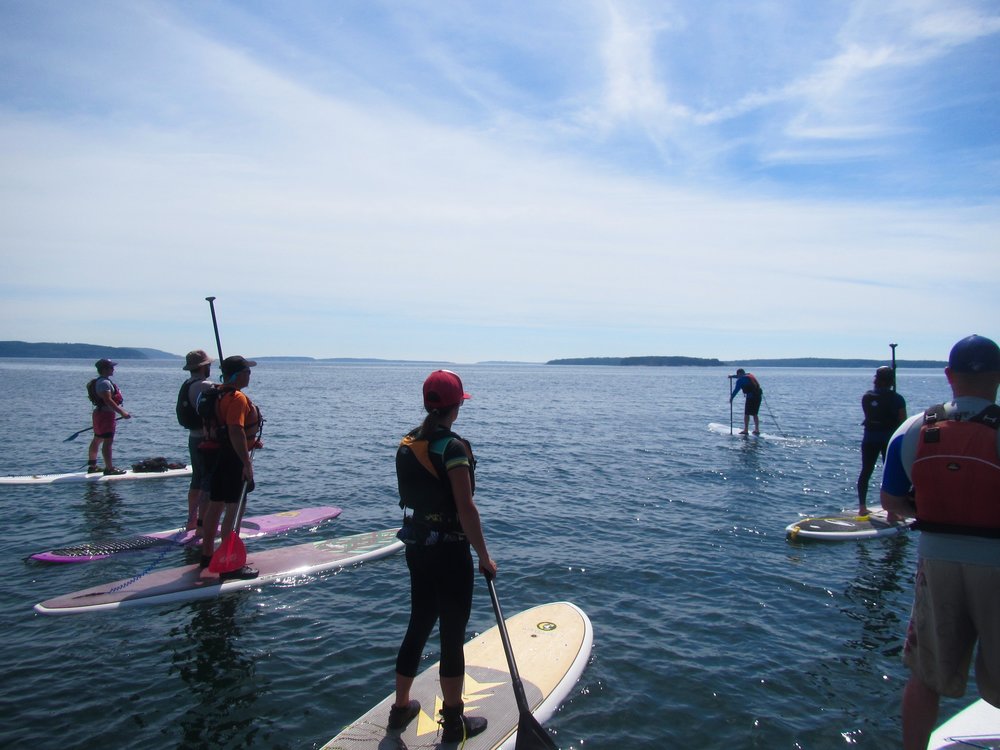Online Store, Acadia Stand Up Paddle Boarding