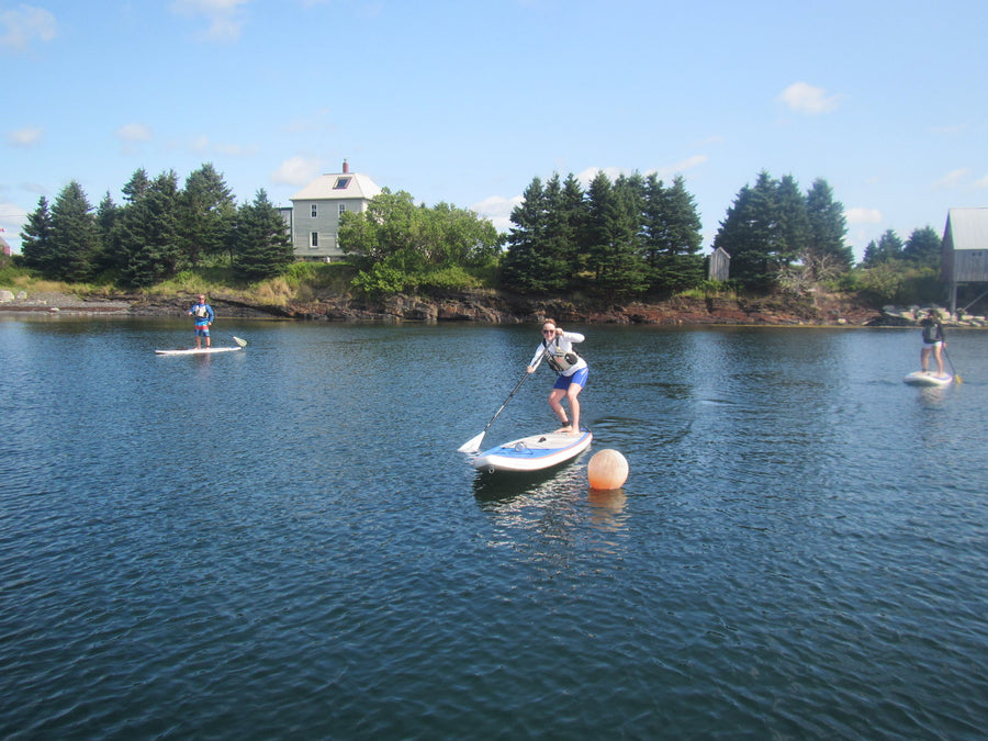 beginner paddleboard course