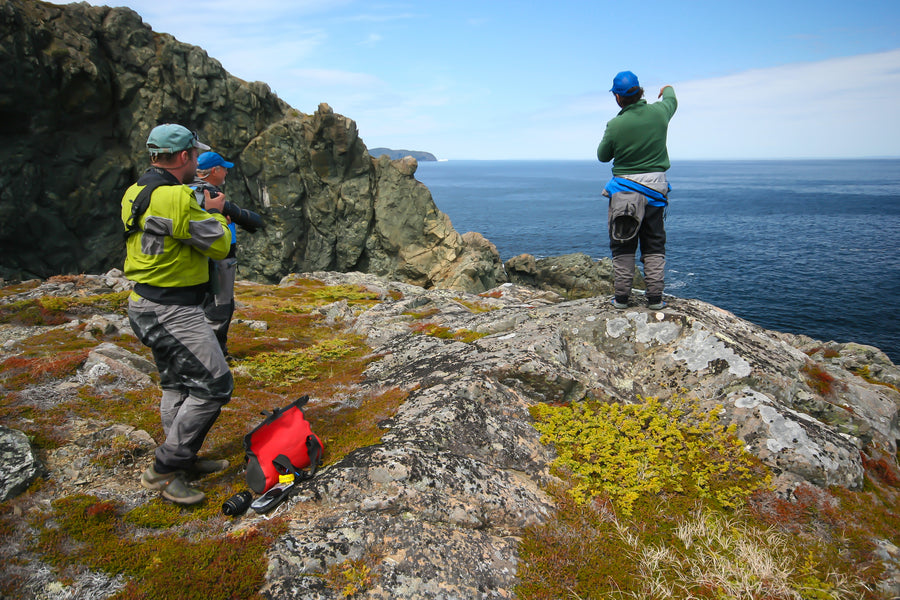 Icebergs and Outports
