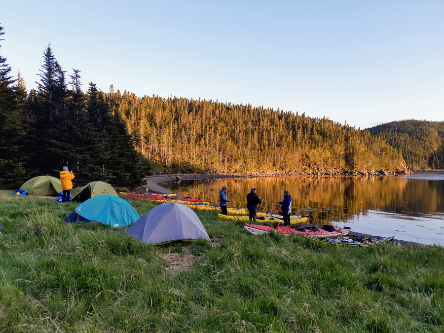 Icebergs and Outports