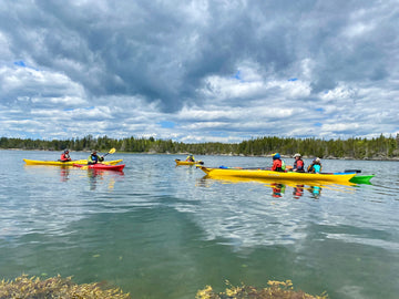 Become a Kayak Coach