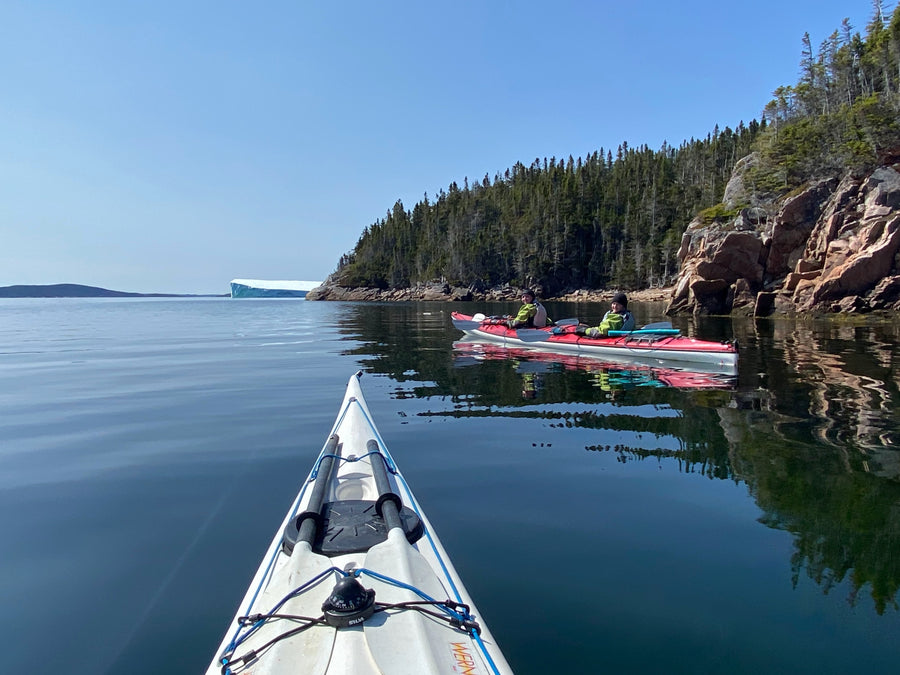 Icebergs and Outports