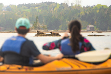 sea kayak tour with seals