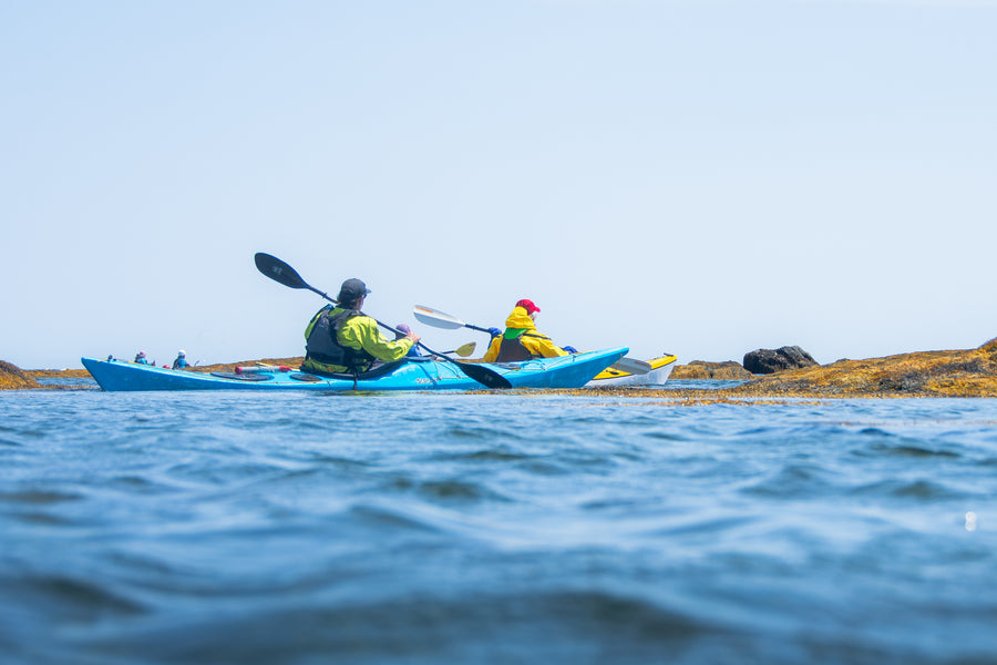 Two people kayaking on a body of water with a clear sky.
