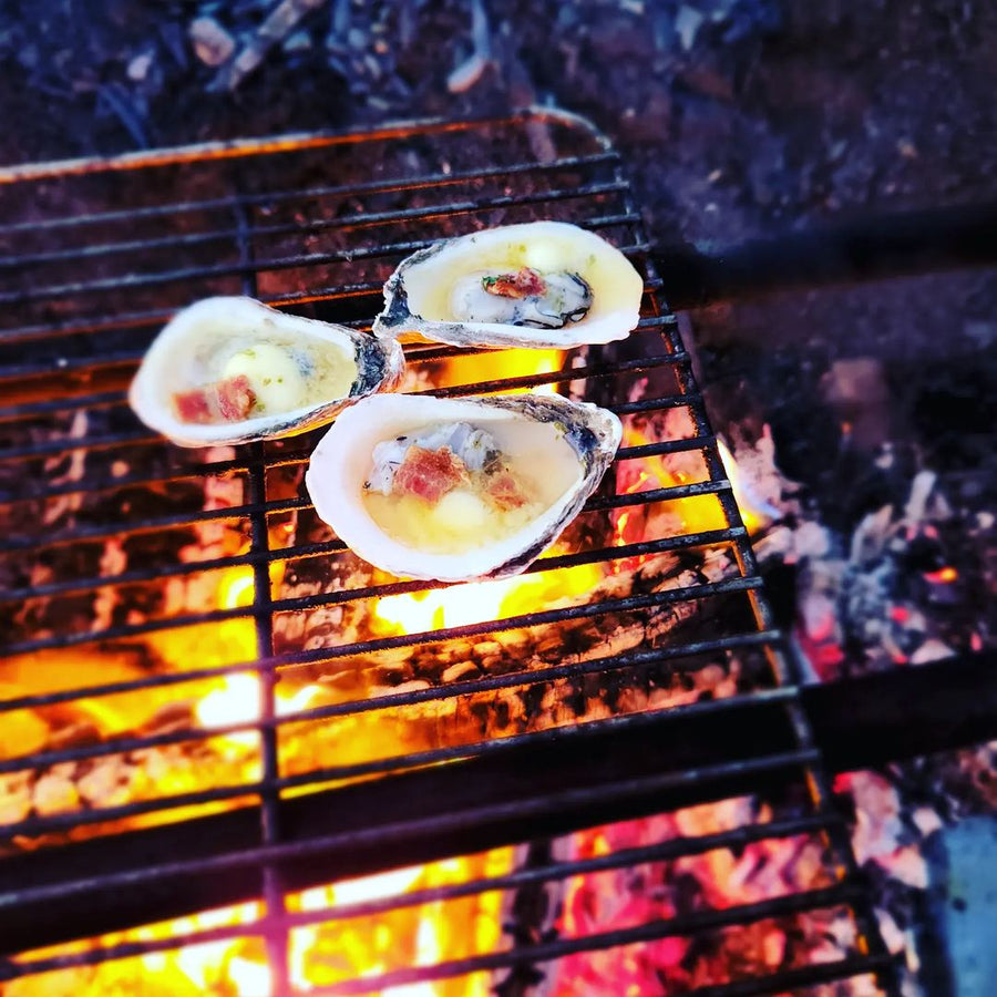 Oysters Nova Scotia