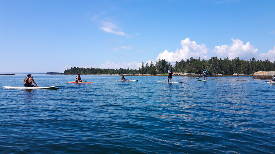 Paddle Canada SUP Training