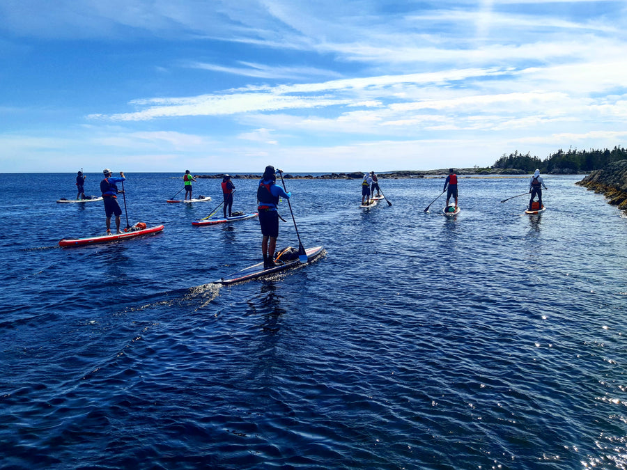 SUP Instructor Course