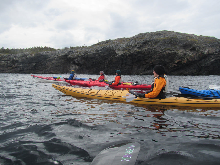 Sea Kayak Guide Training