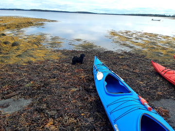 Tandem Kayak Rental LaHave