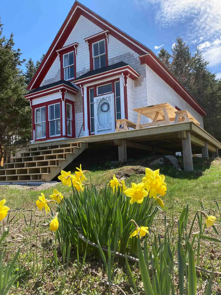 Sea Kayak Skills Level 2 at the Island Cottage