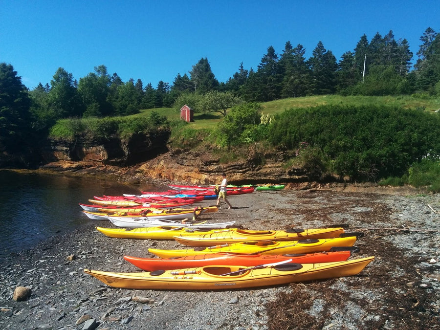 Kayak Rental (Tandem)