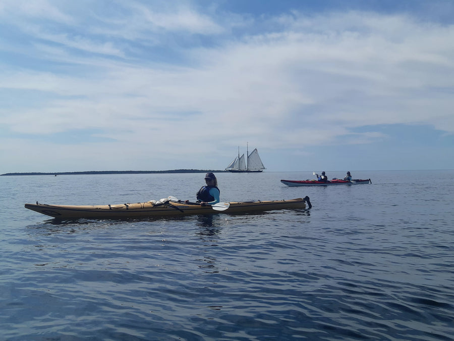 sea kayak bluenose tour